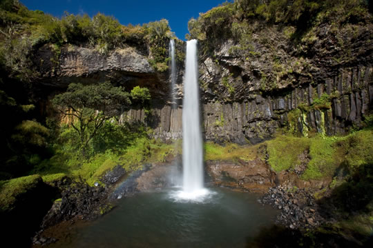 Aberdare National Park